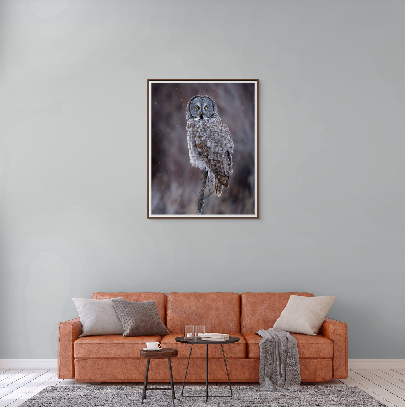Great Grey Owl