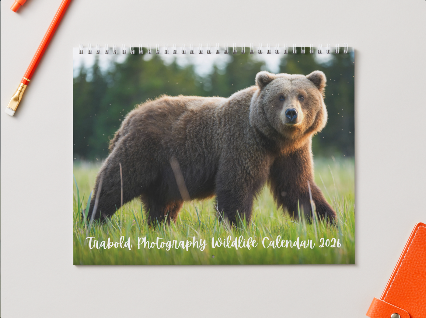 2026 Wildlife Calendar