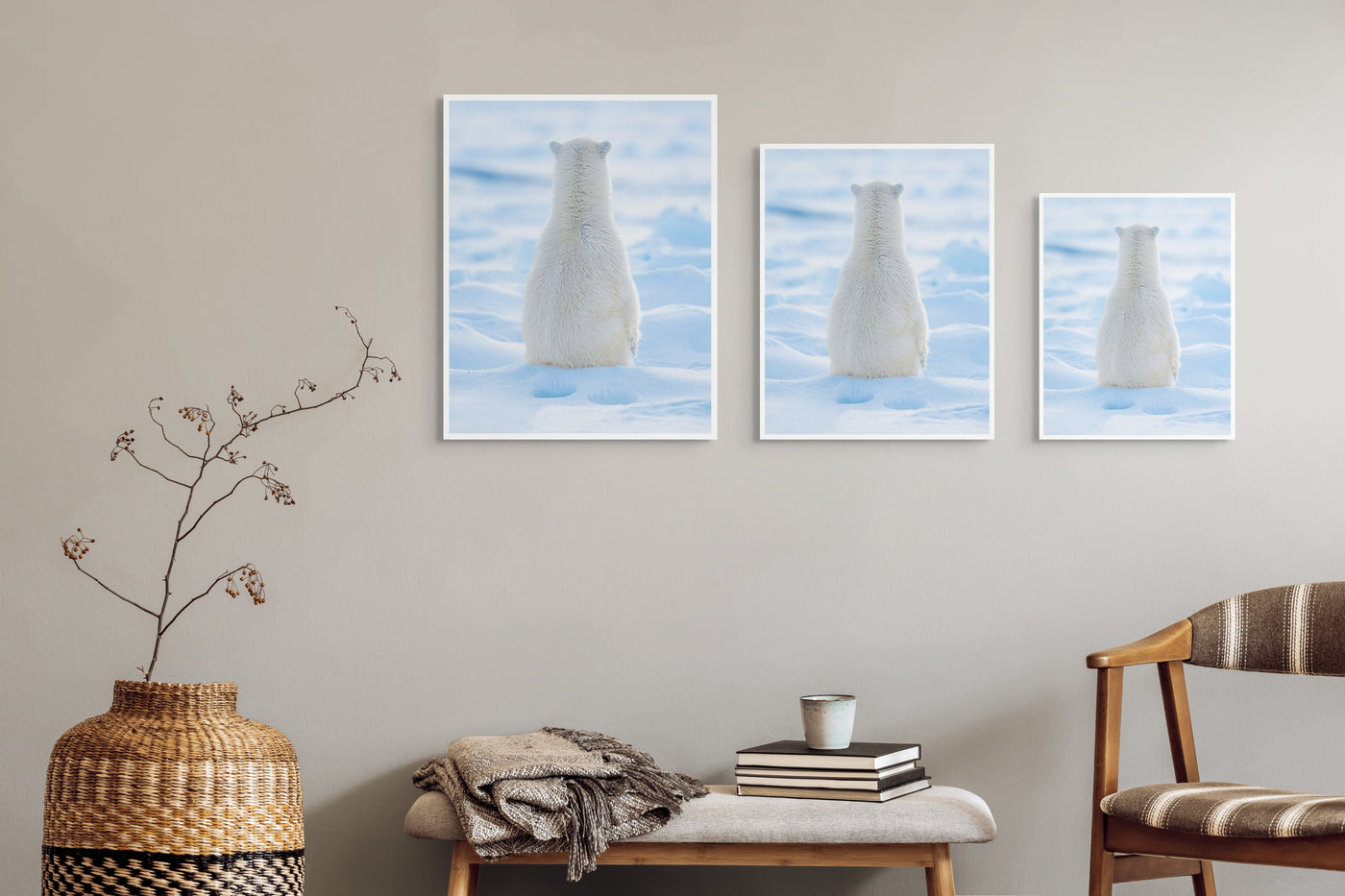 Arctic Contemplations