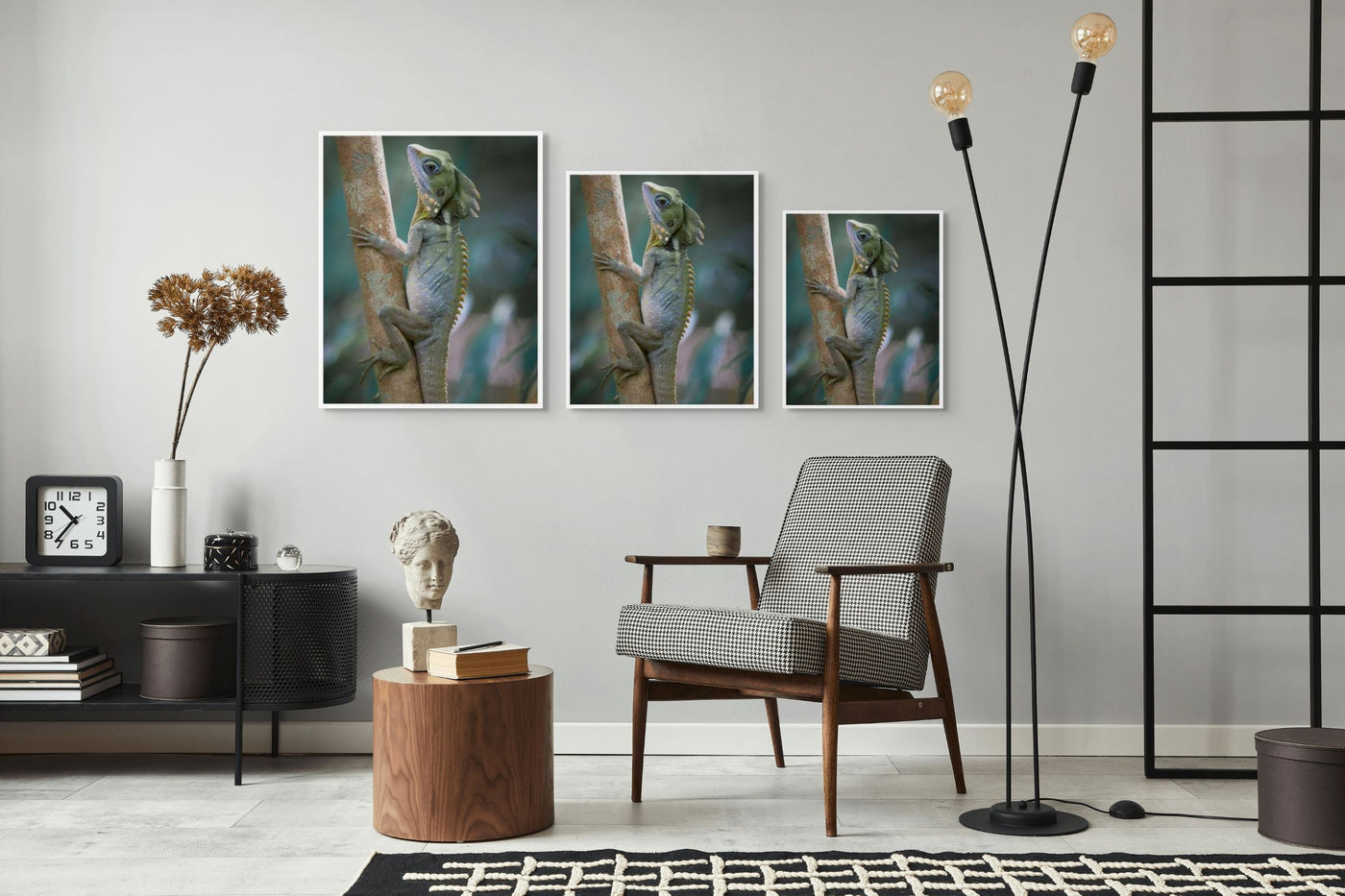 Boyd's Forest Dragon